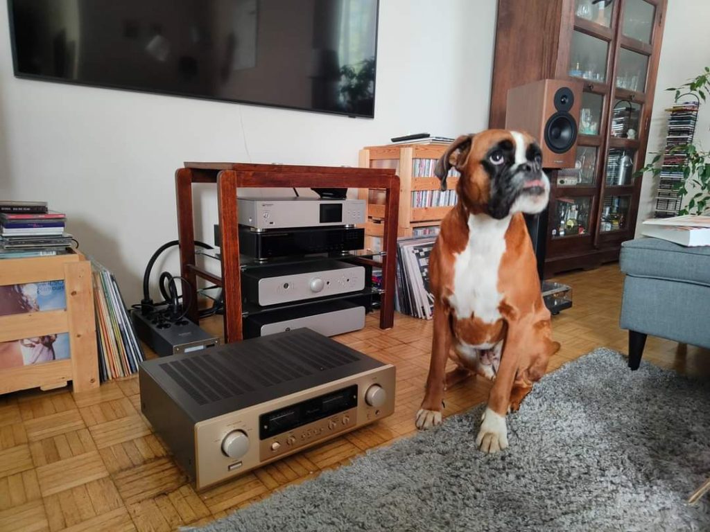 Wzmacniacz Accuphase i system stereo w salonie z kolekcją winyli i wiernym przyjacielem